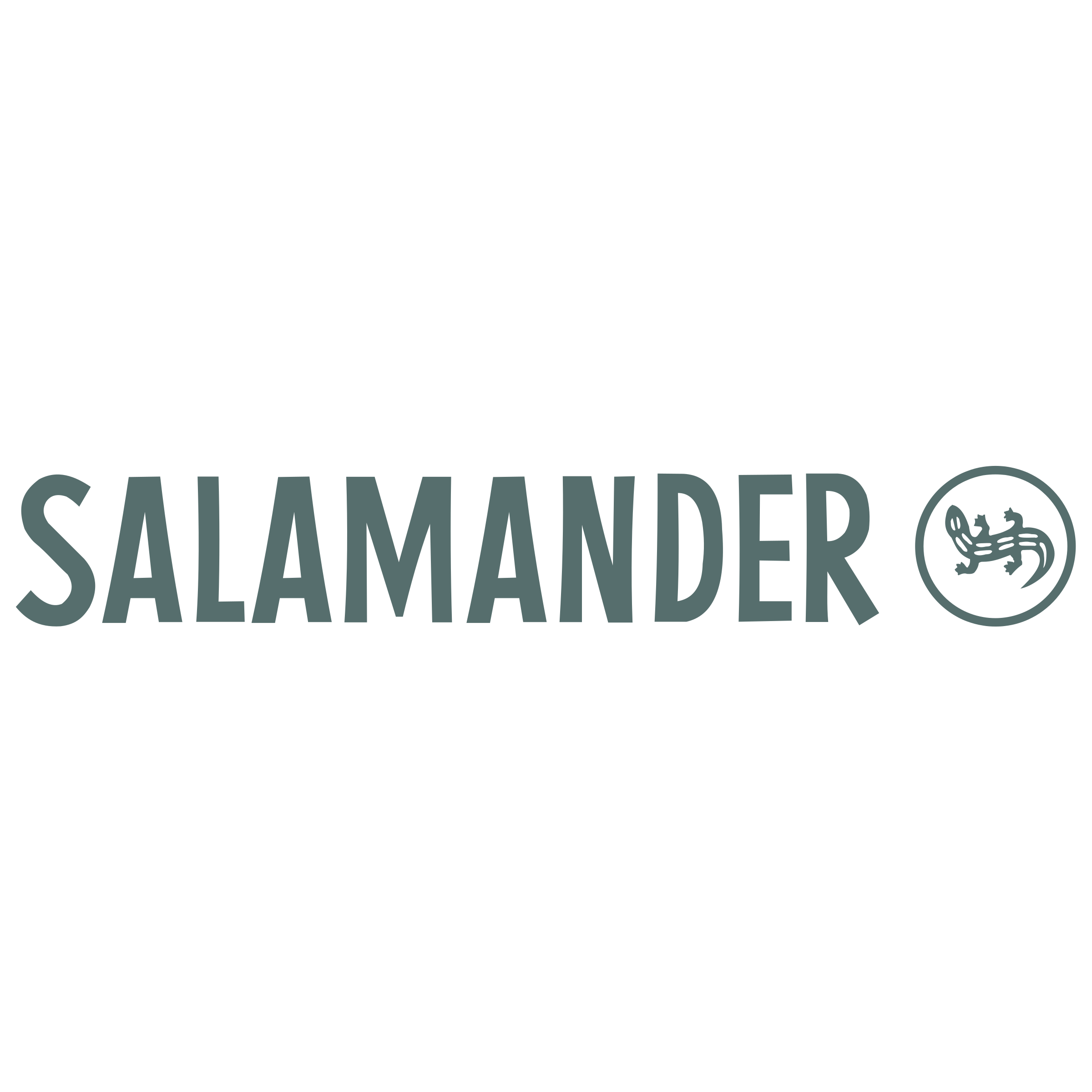 salamnder logo1